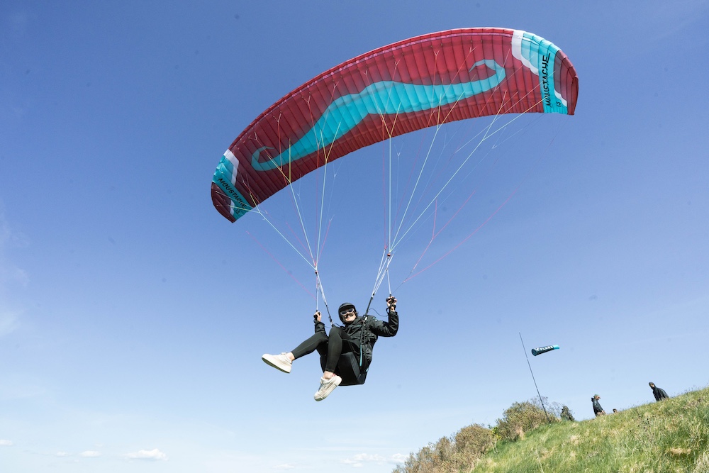 FLARE Moustache2 Farbe Burgundy Spielen im Wind beim Parakiten